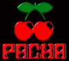 Pacha